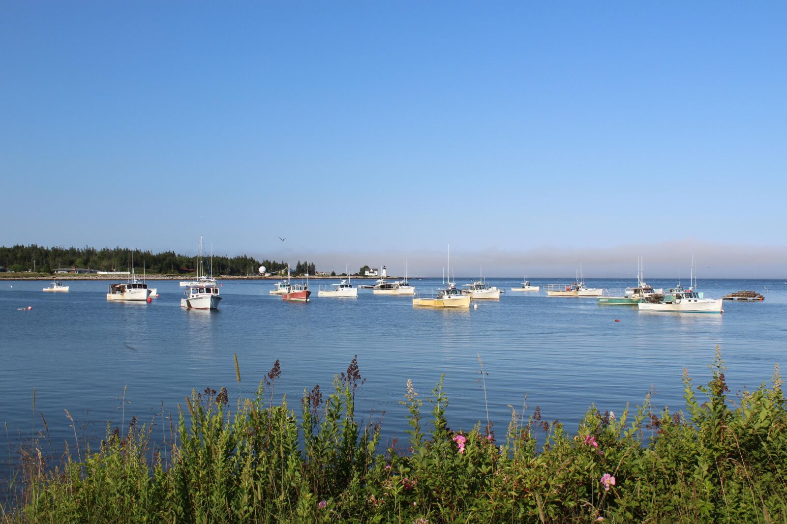 Canon EOS 1200D (EOS Rebel T5 / EOS Kiss X70 / EOS Hi) sample photo. Coast, boats, boat photography