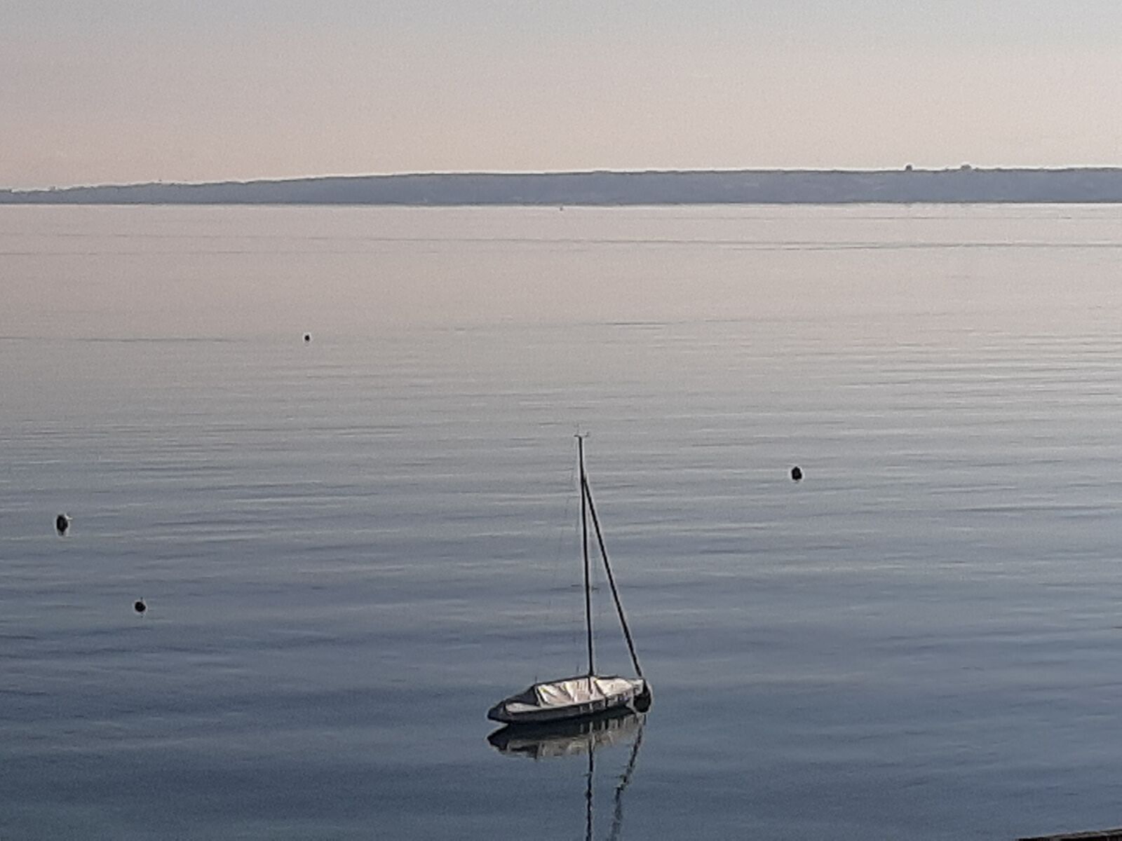 Samsung Galaxy A50 sample photo. Sailboat, geneva, lake photography