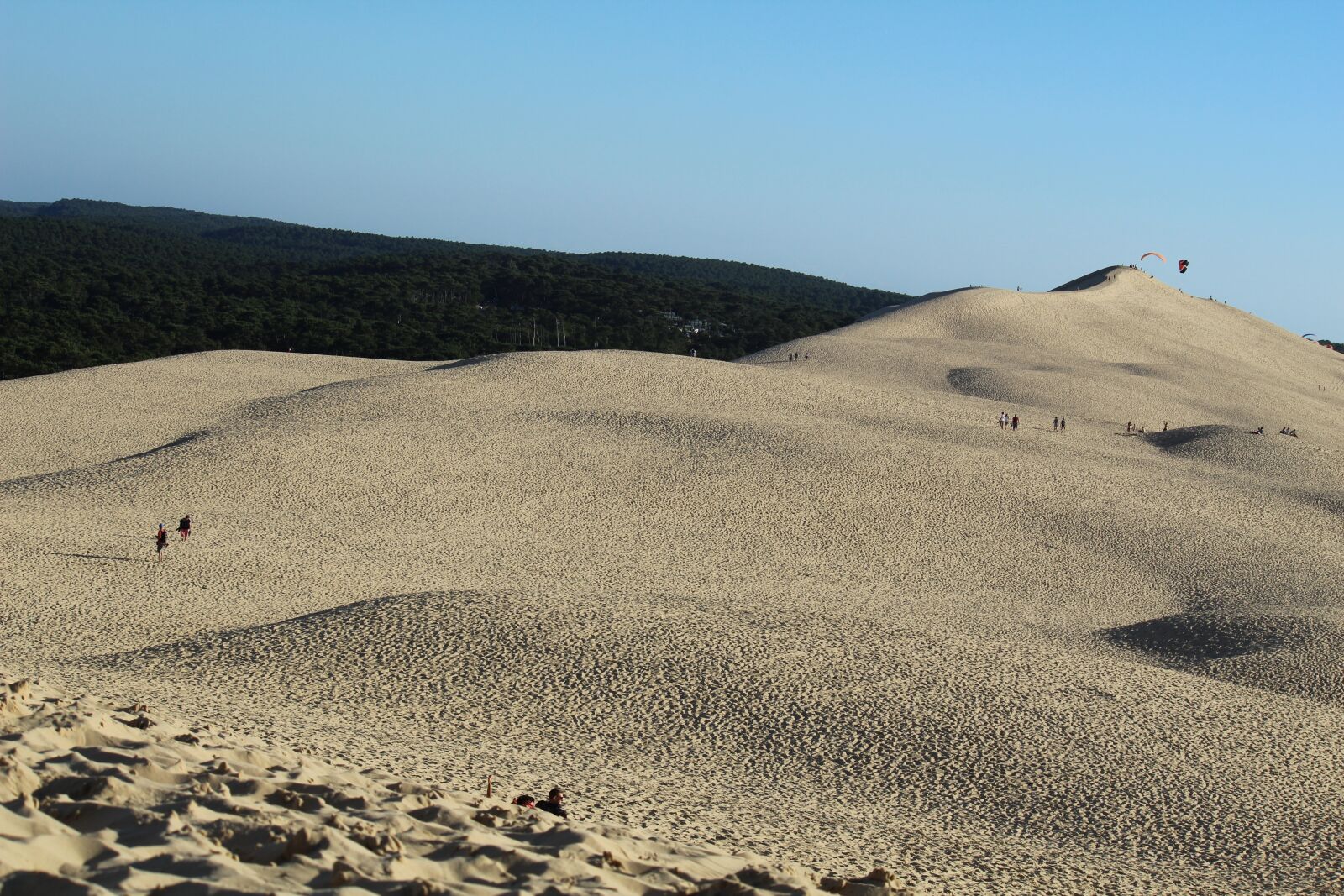 Canon EOS 1300D (EOS Rebel T6 / EOS Kiss X80) sample photo. Desert, sand, dune photography