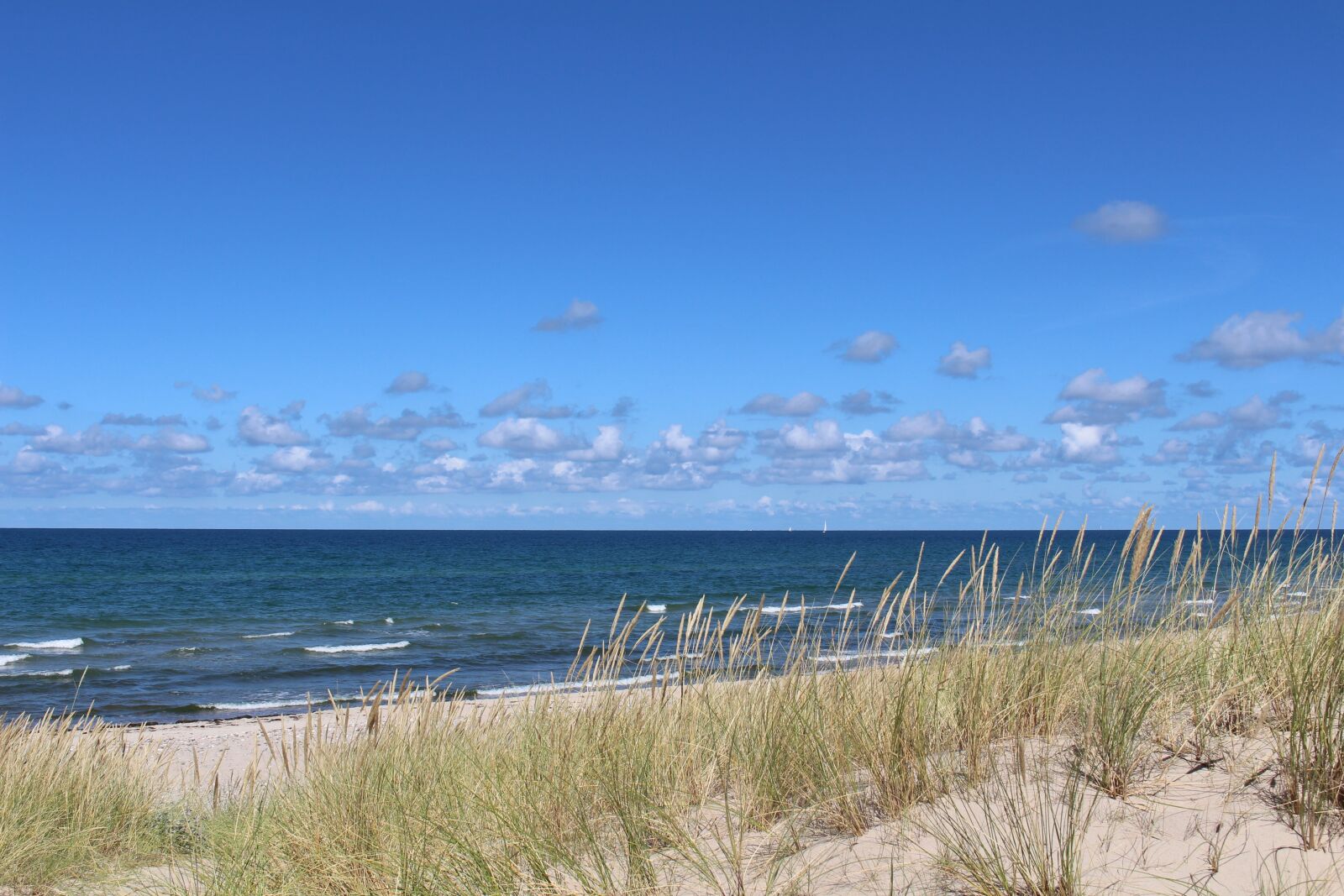 Canon EOS 700D (EOS Rebel T5i / EOS Kiss X7i) sample photo. Baltic sea, sea, beach photography
