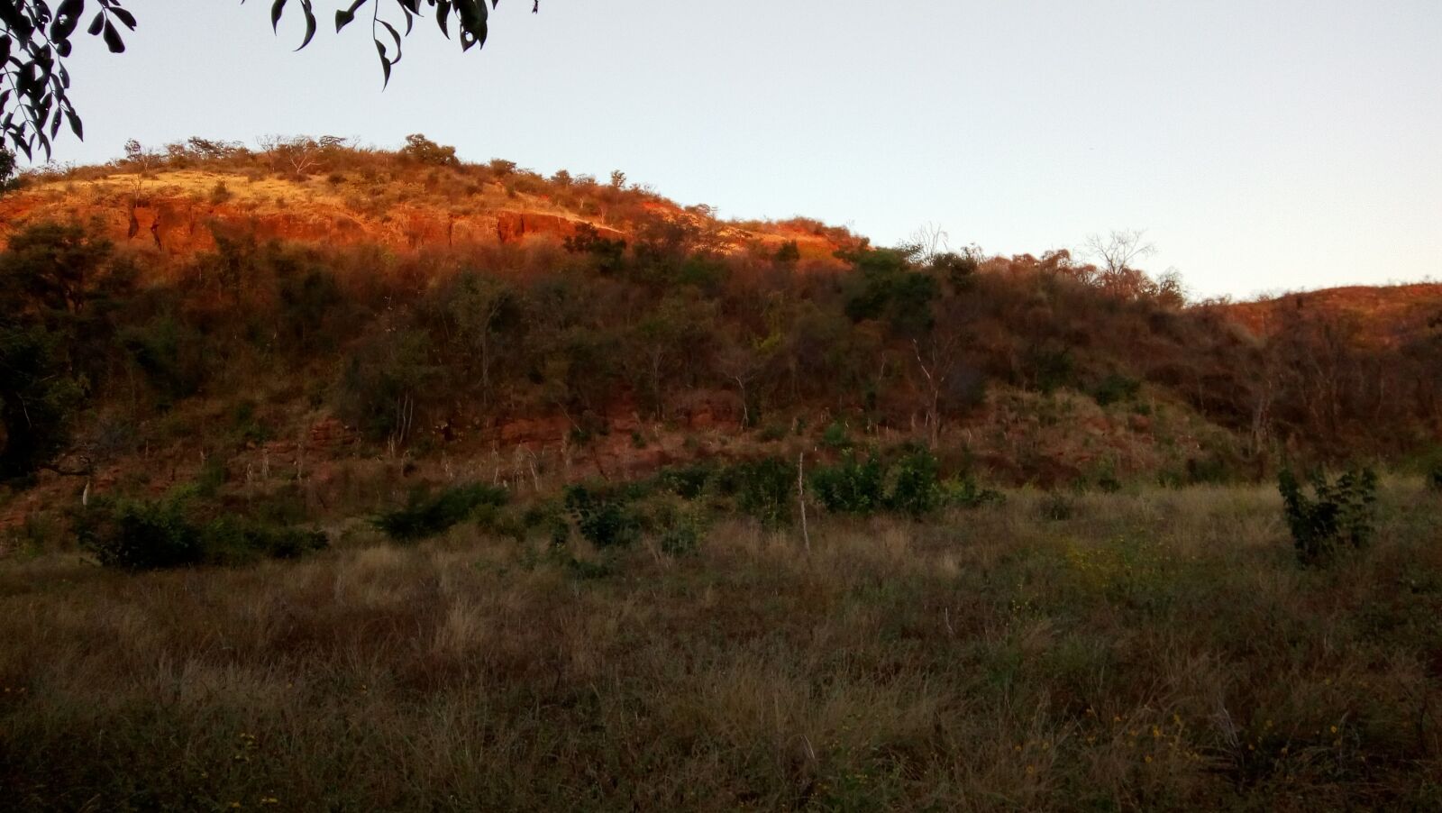Motorola Moto E4 sample photo. Camp, forest photography