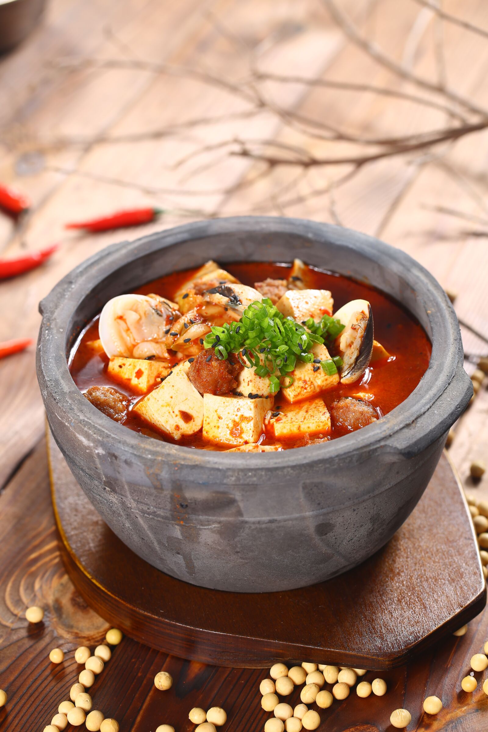 Canon EF 100mm F2.8L Macro IS USM sample photo. Tofu, hot, casserole photography
