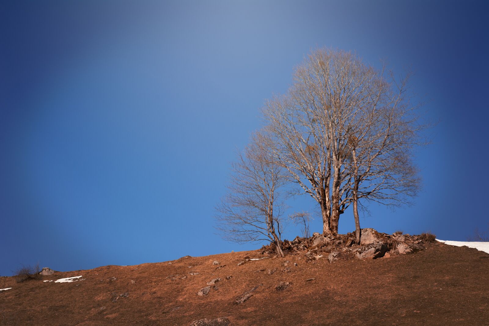 Nikon D7100 sample photo. Landscape, meadow, tree photography