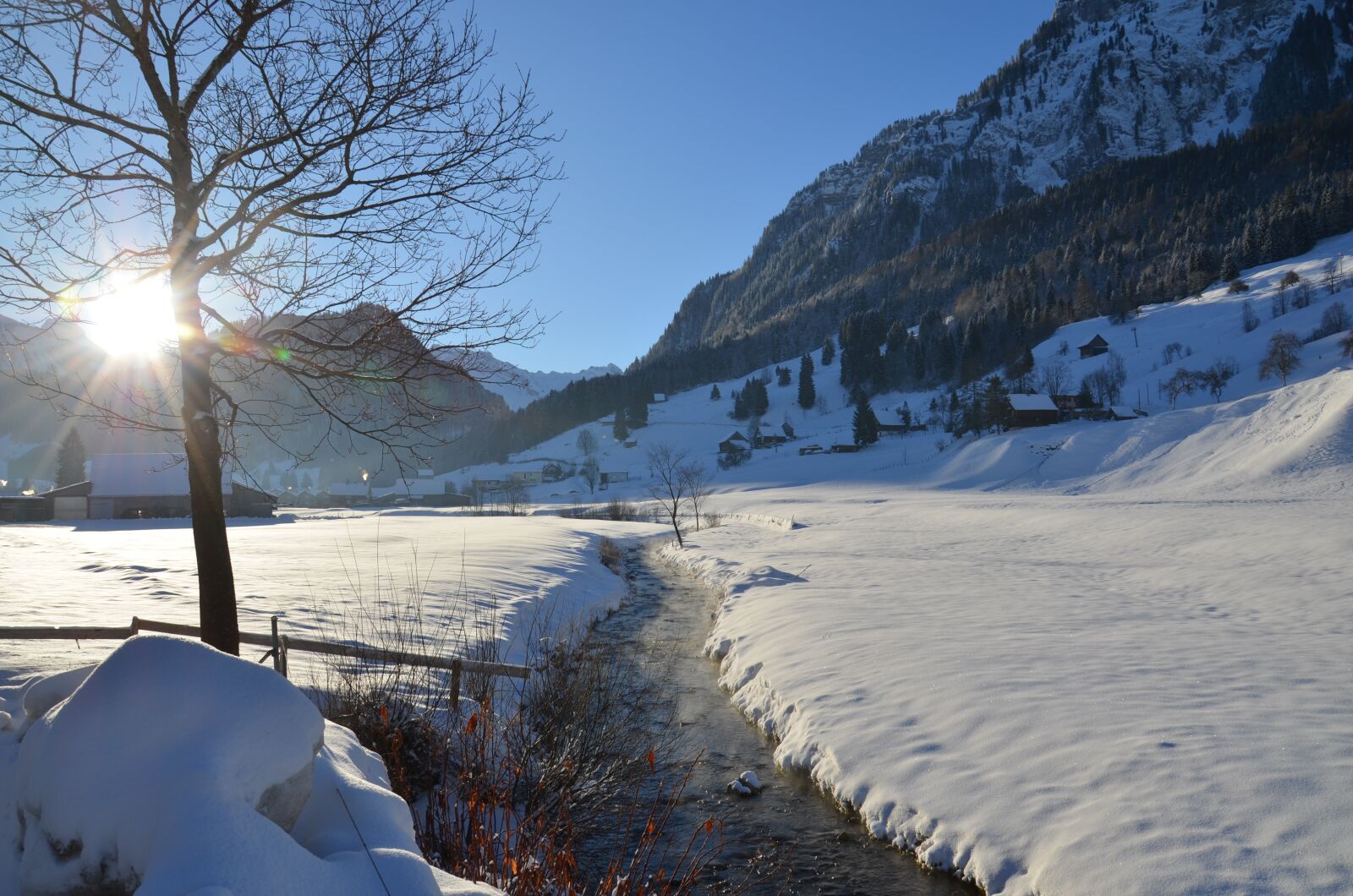 Nikon D5100 sample photo. Snow, winter, nature photography