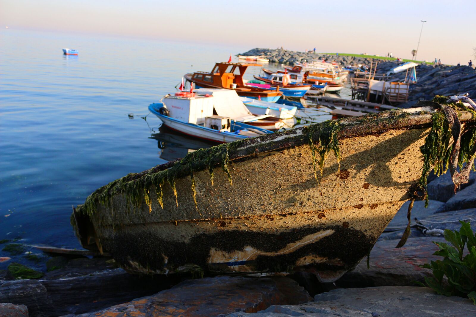 Canon EOS 700D (EOS Rebel T5i / EOS Kiss X7i) sample photo. Boat, marine, fisherman photography