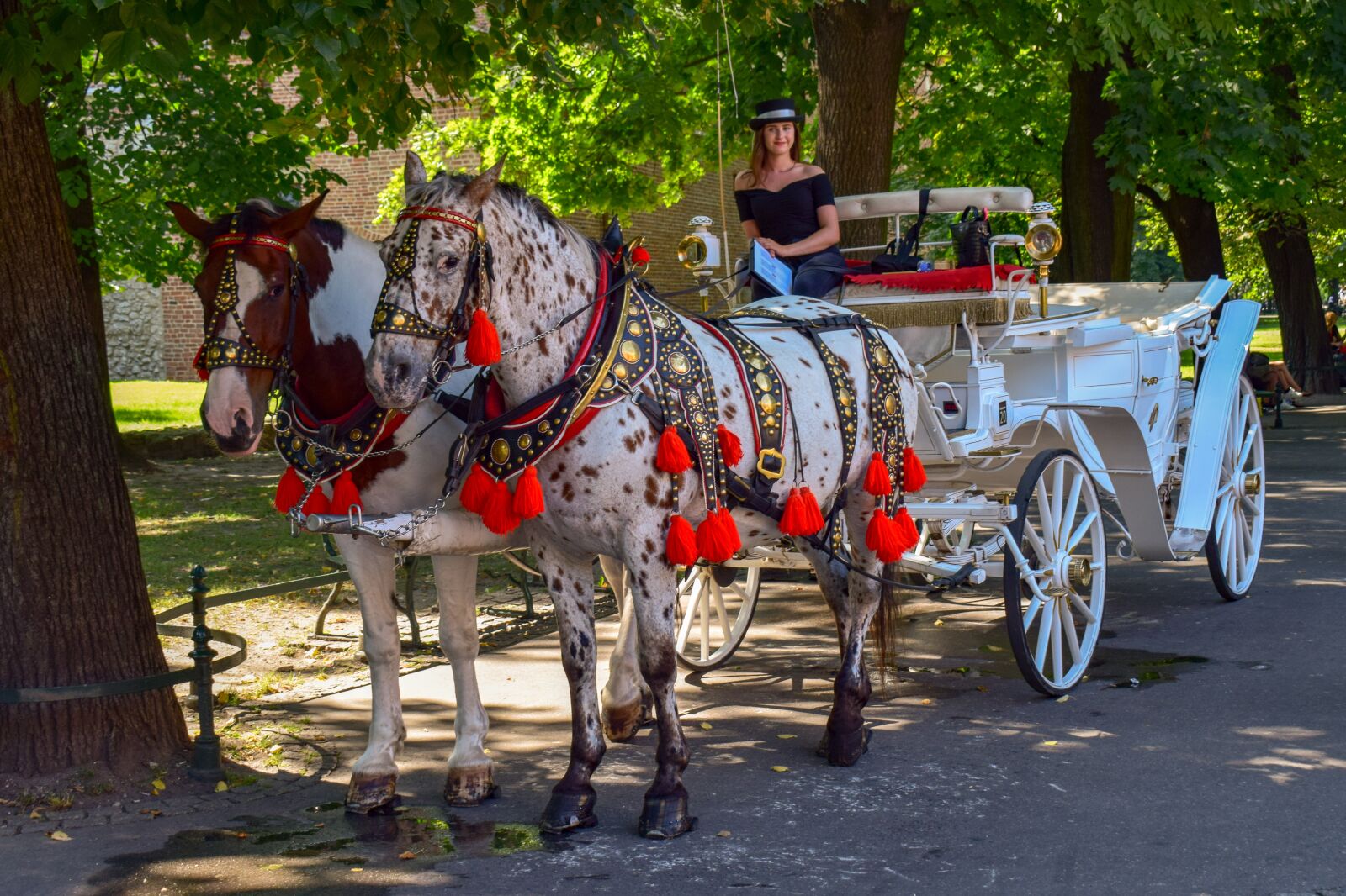 Nikon D3300 sample photo. Carriage, horses, girl photography