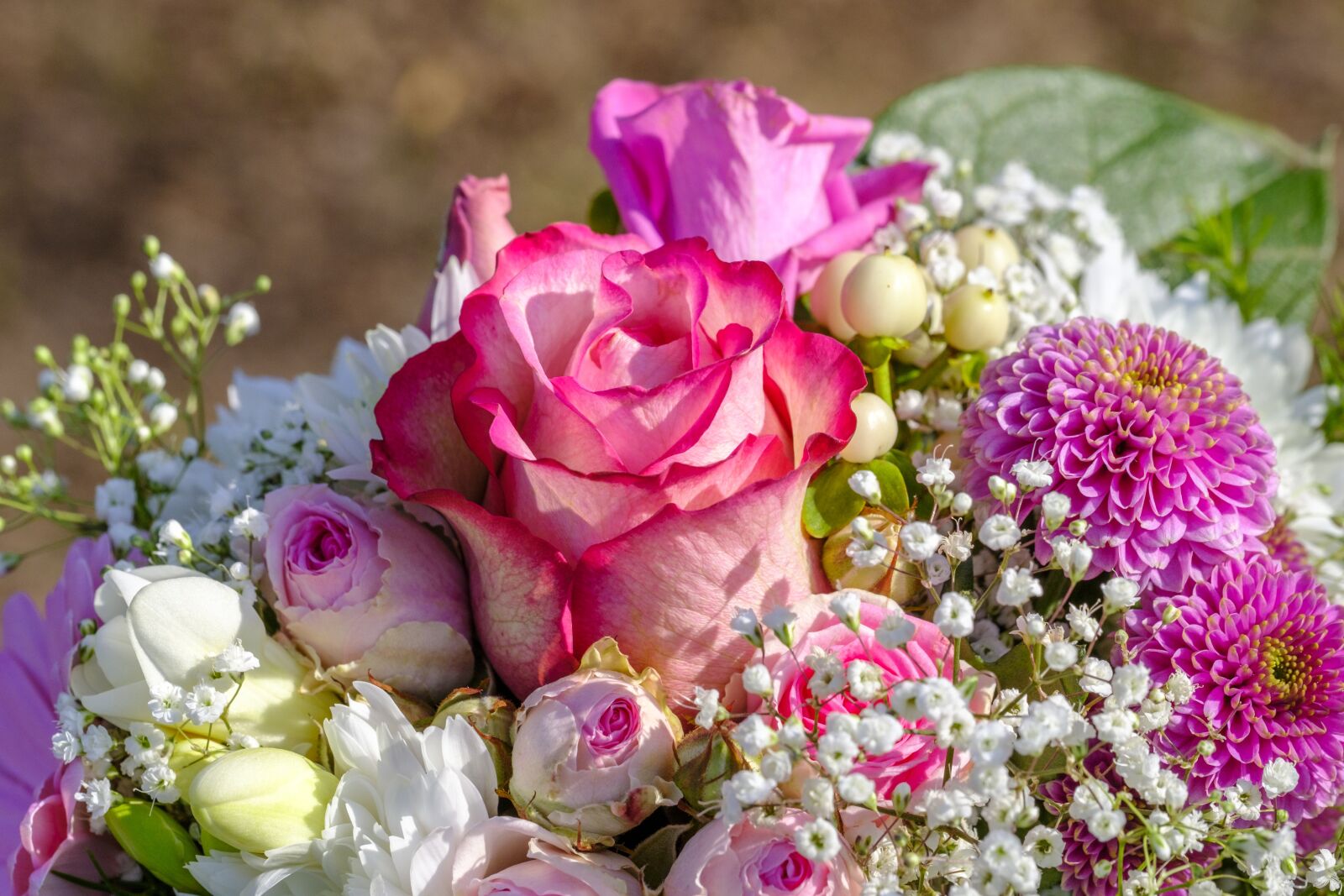 Fujifilm X-T2 + Fujifilm XF 80mm F2.8 R LM OIS WR Macro sample photo. Rose, bouquet of roses photography