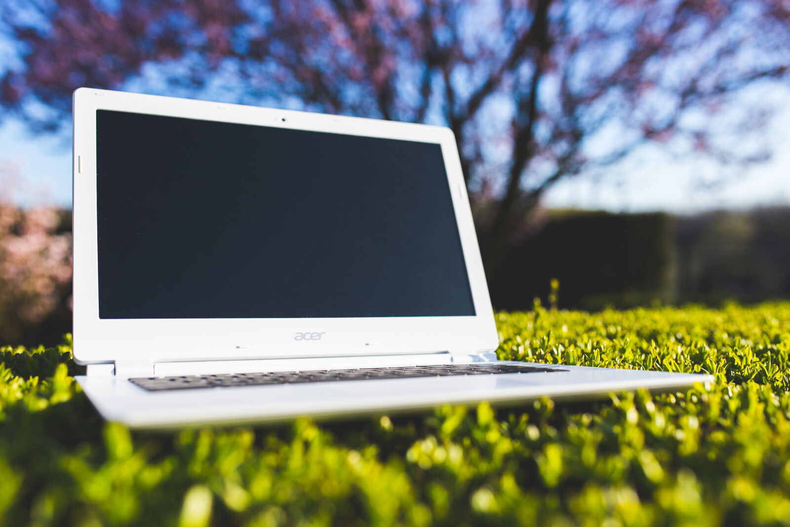 Canon EOS 6D + Sigma 35mm F1.4 DG HSM Art sample photo. White, laptop, on, a photography
