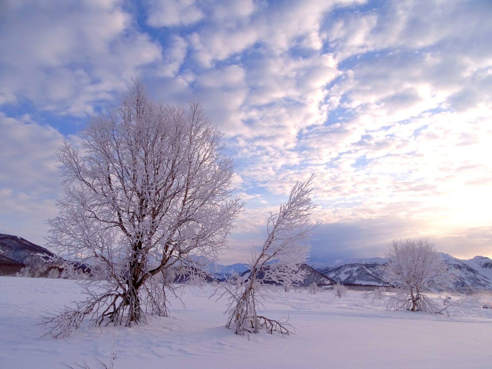 Sony DSC-HX400 sample photo. Sunrise, dawn, morning photography