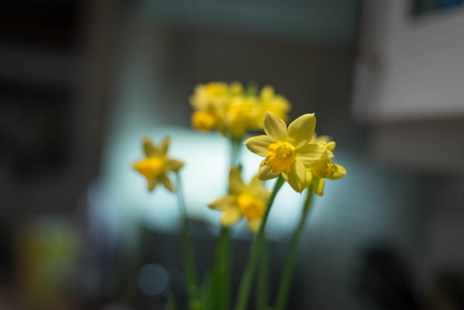 Nikon D750 + Nikon AF-S Nikkor 50mm F1.8G sample photo. Night photography