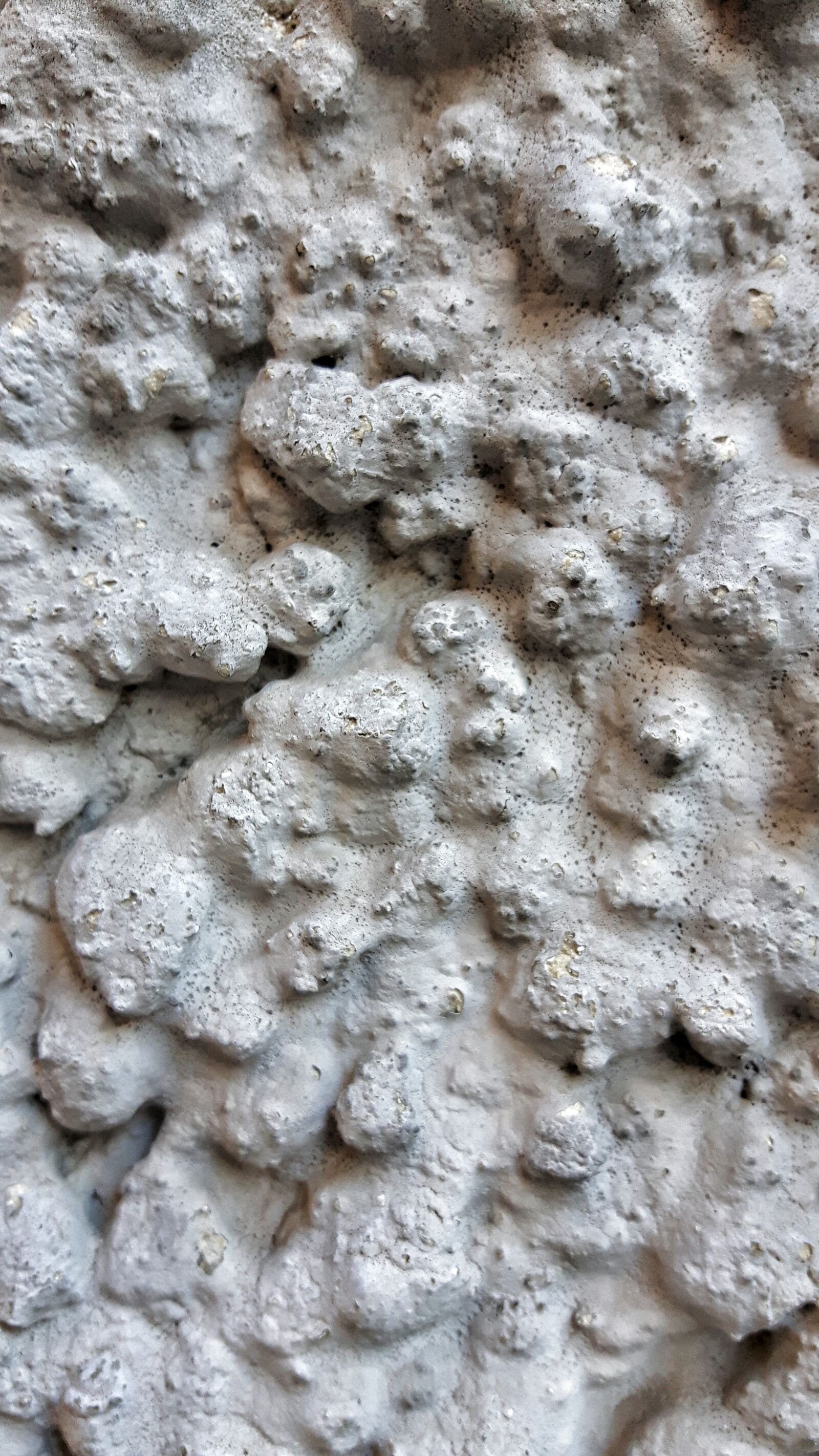 Samsung Galaxy S5 Neo sample photo. Wall, color, texture photography