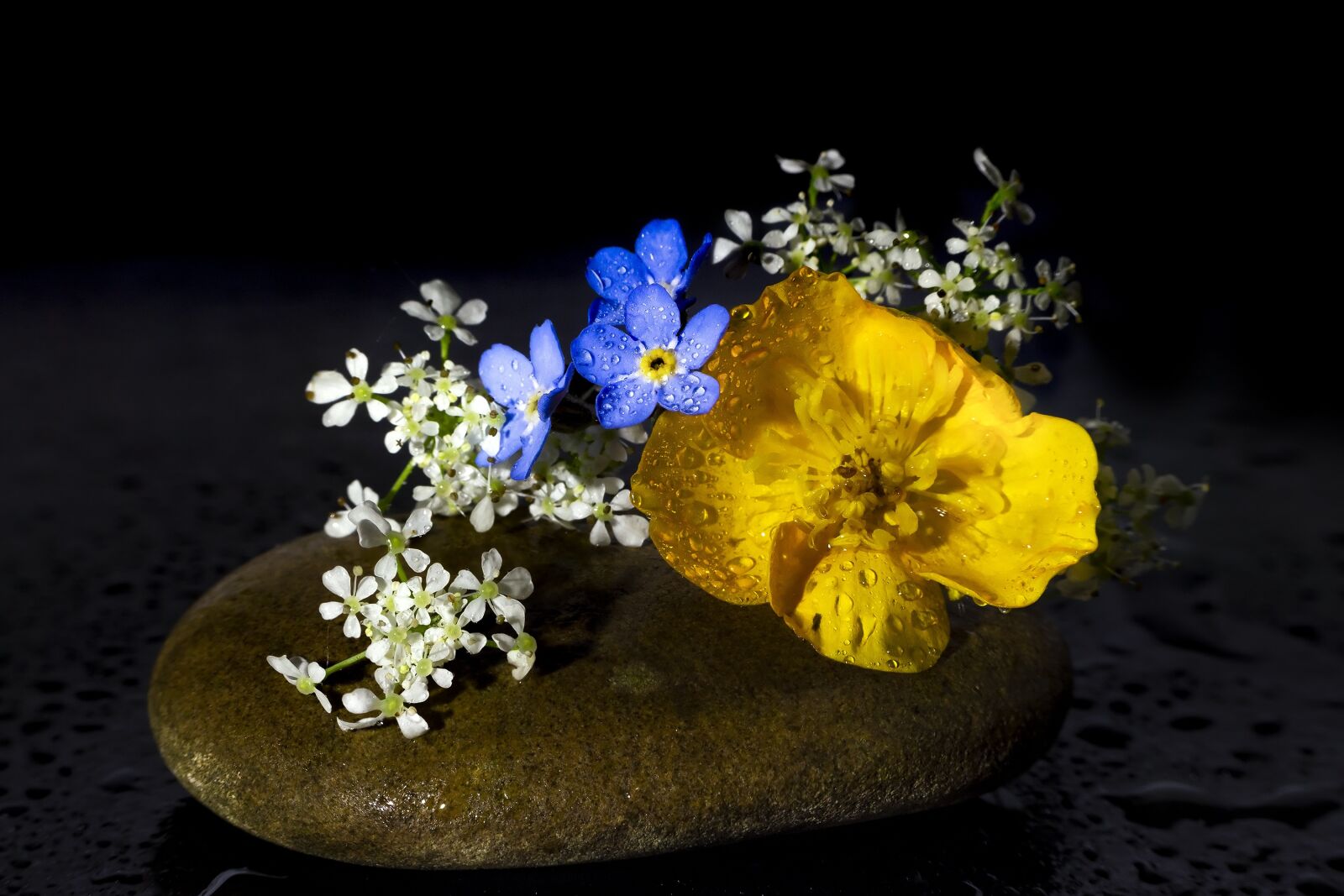 Canon EOS 700D (EOS Rebel T5i / EOS Kiss X7i) sample photo. Flowers, still lifes, arrangement photography