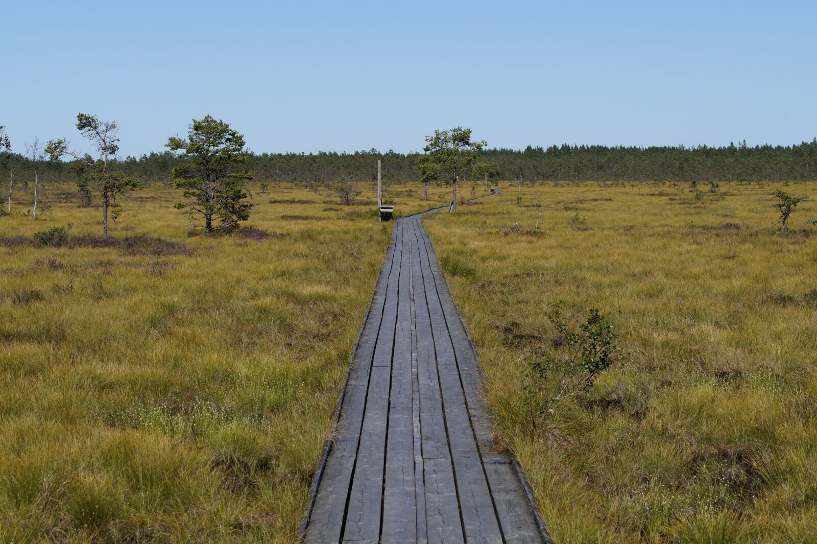 Sony SLT-A58 sample photo. Moor, moorland, landscape photography
