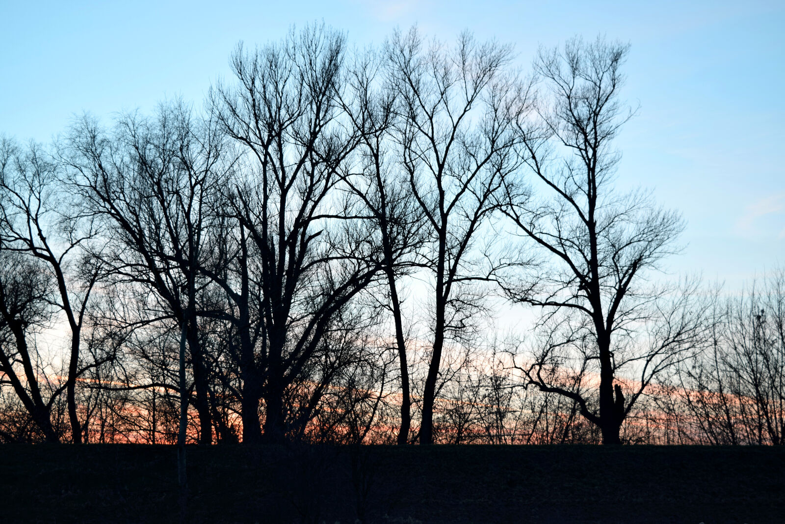 Nikon D3300 sample photo. Sunset, trees, walk photography