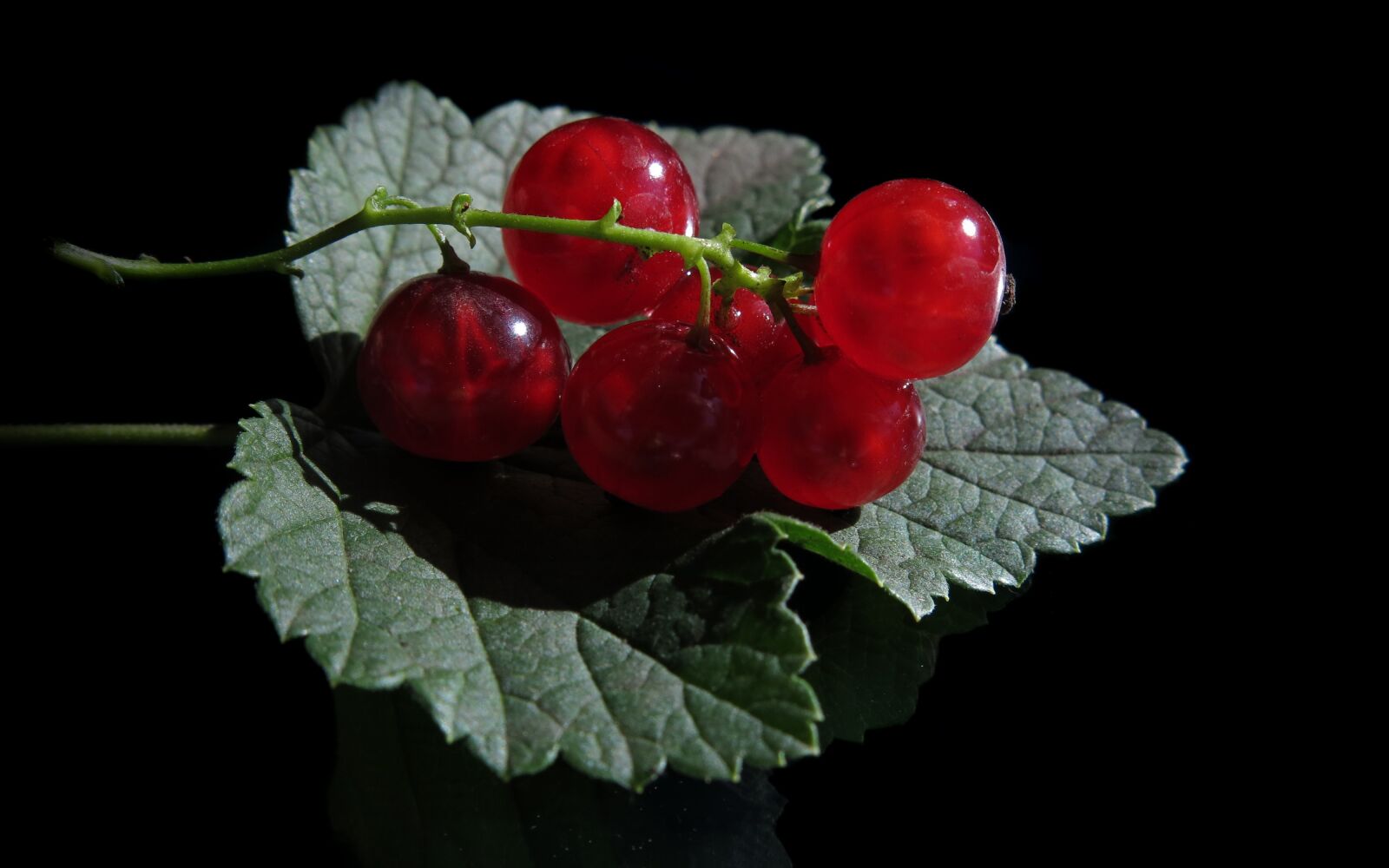 Canon PowerShot G15 sample photo. Red currant, ribes rubrum photography