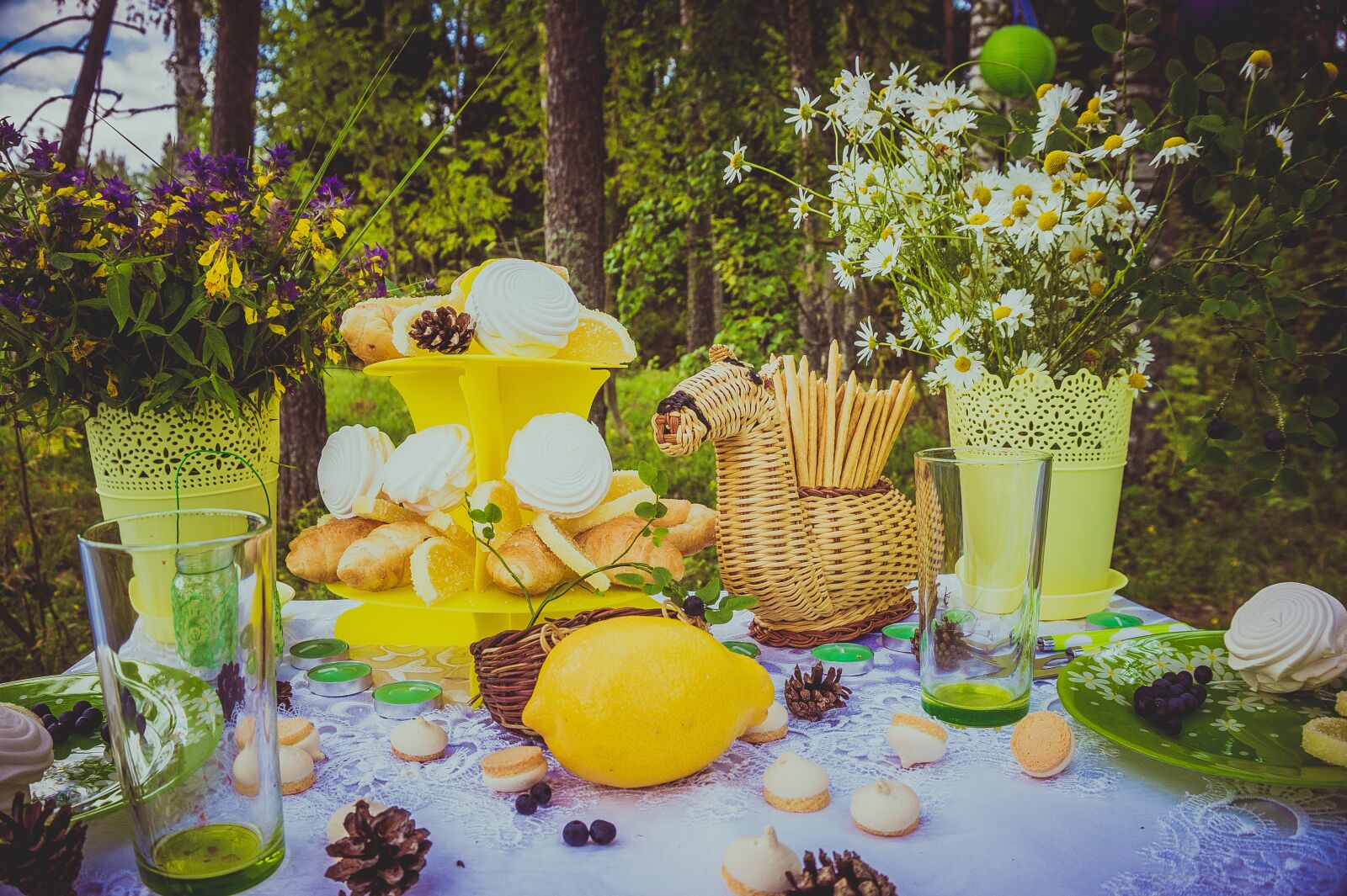 Sony Alpha a5000 (ILCE 5000) sample photo. Still life, summer, bouquet photography