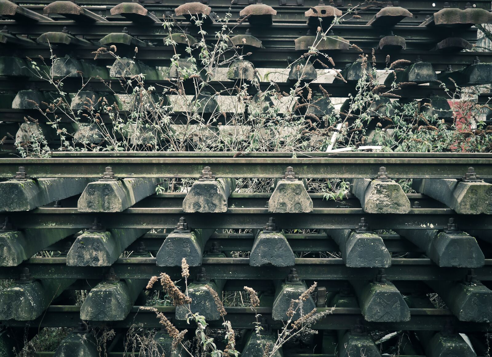 Olympus OM-D E-M10 sample photo. Rails, gleise, train photography