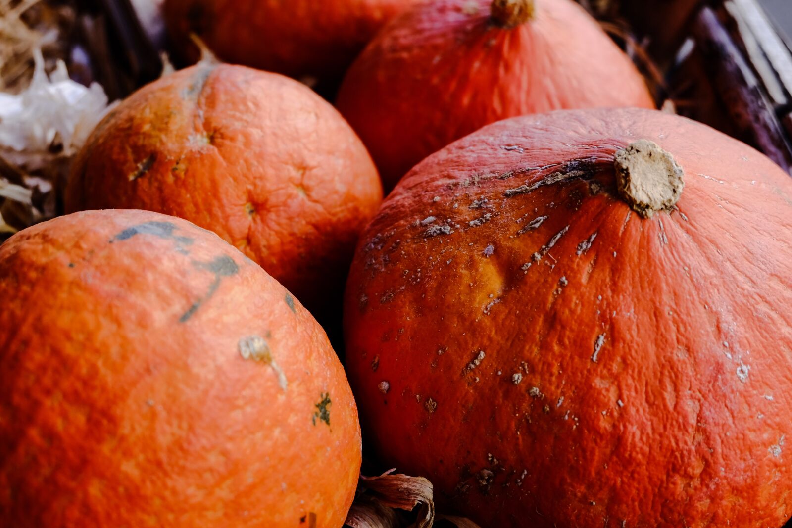 Fujifilm X-M1 sample photo. Food, no person, fruit photography