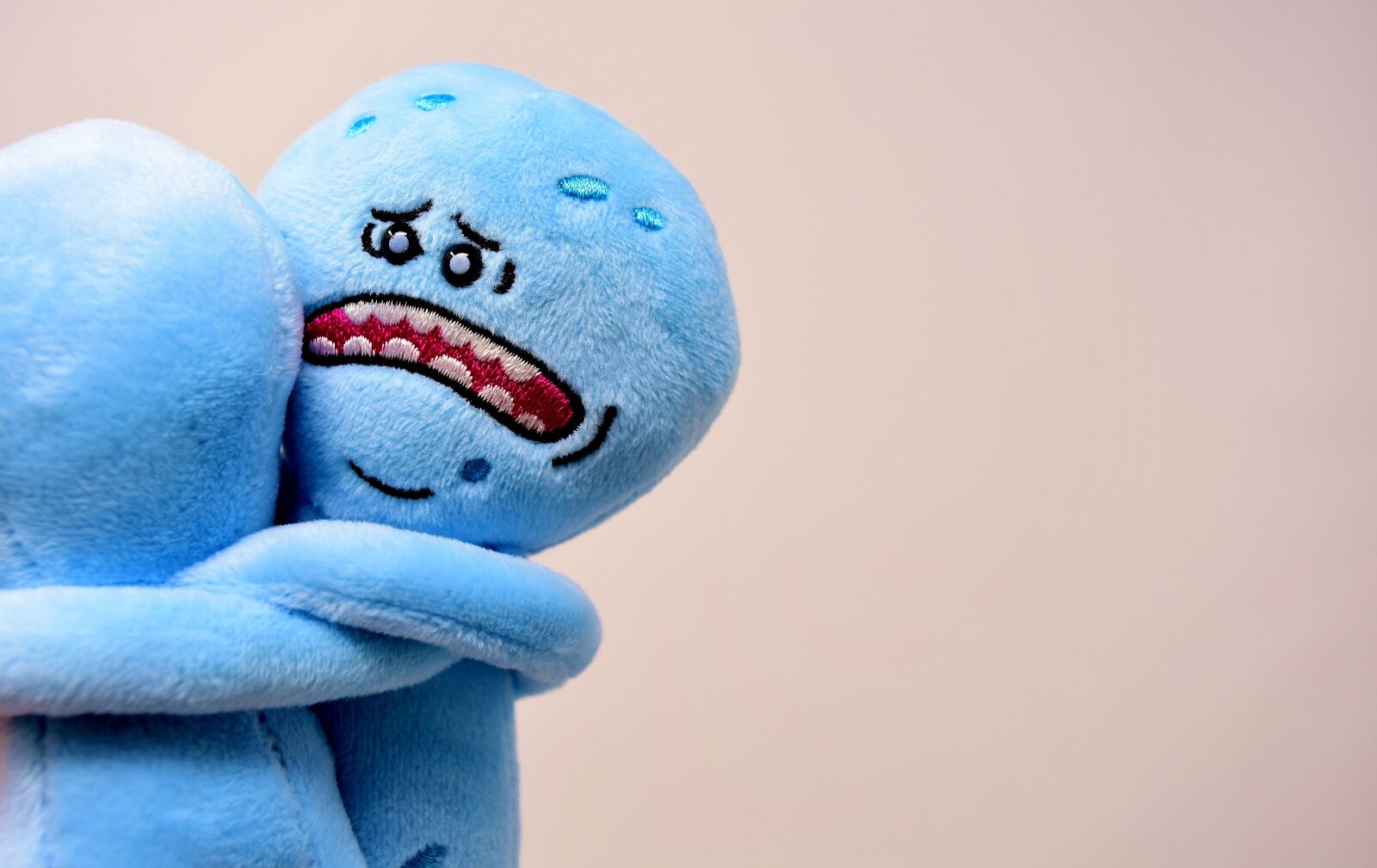 Nikon D7200 sample photo. Farewell, sad, embrace photography