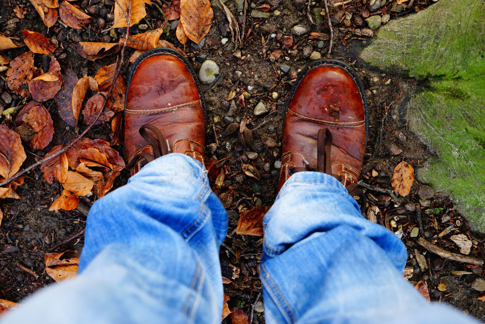 Sony a7R + Sony Vario Tessar T* FE 24-70mm F4 ZA OSS sample photo. Shoes, brown, leaves photography