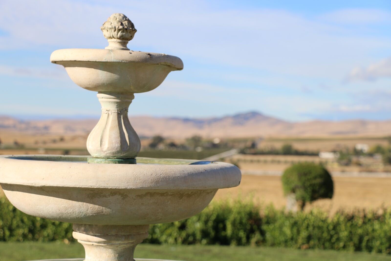 Canon EOS 70D sample photo. Livermore, vineyards, california photography