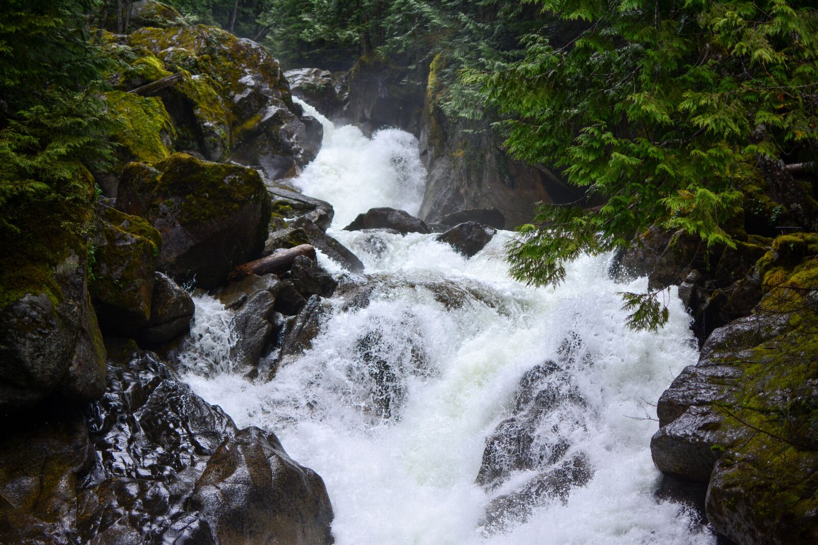 Nikon D5200 sample photo. Nature, outdoors, rapids, river photography