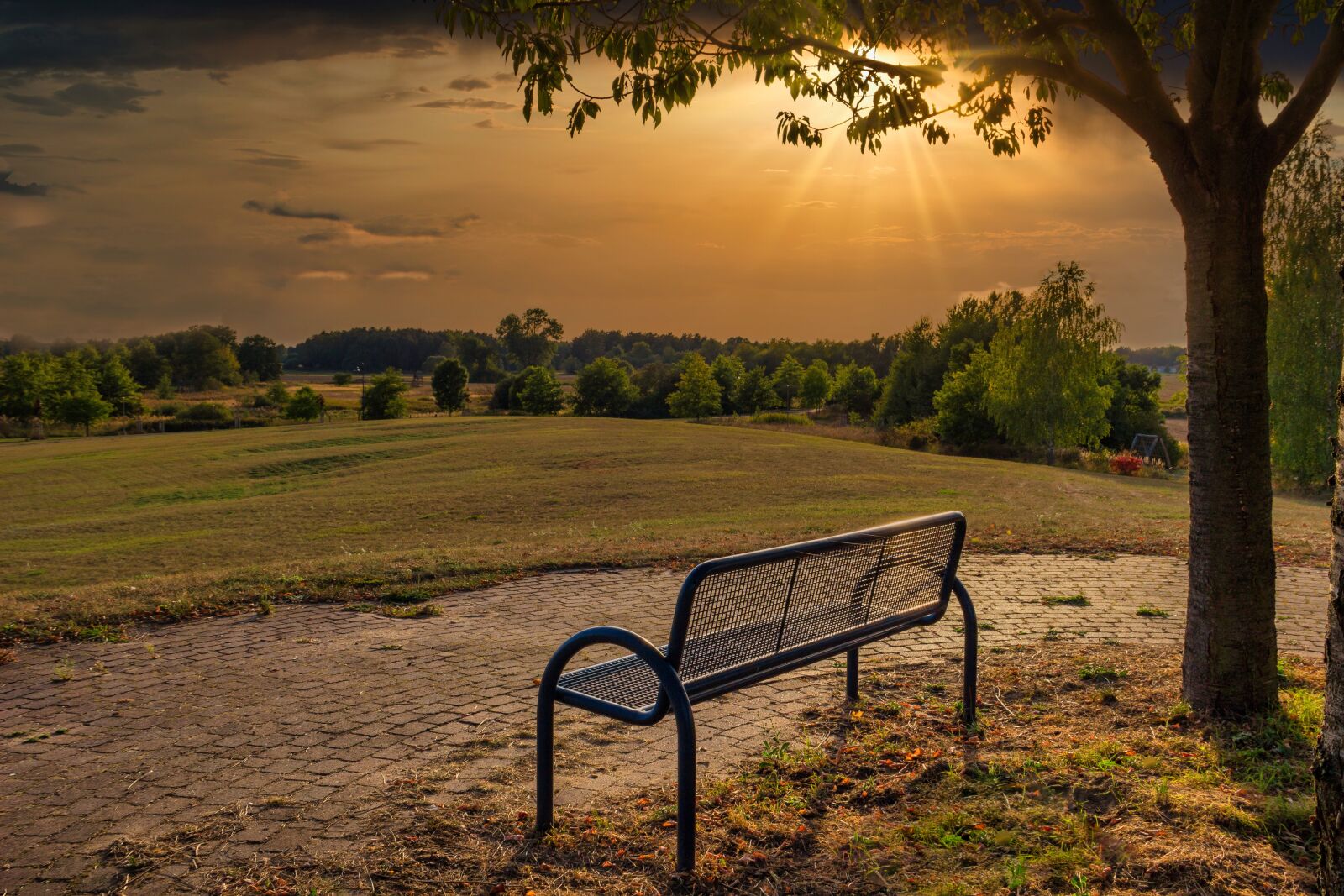 Canon EF-S 18-135mm F3.5-5.6 IS sample photo. Sunset, meadow, tree photography
