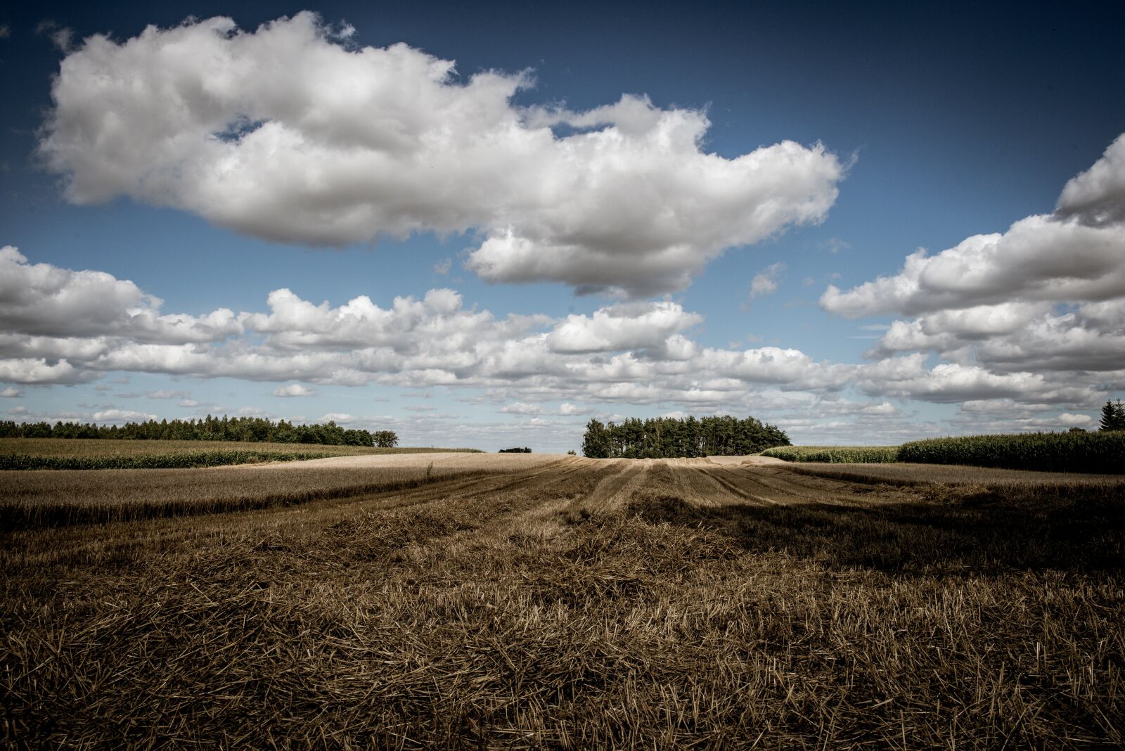Nikon D800 sample photo. Field, clouds, landscape photography