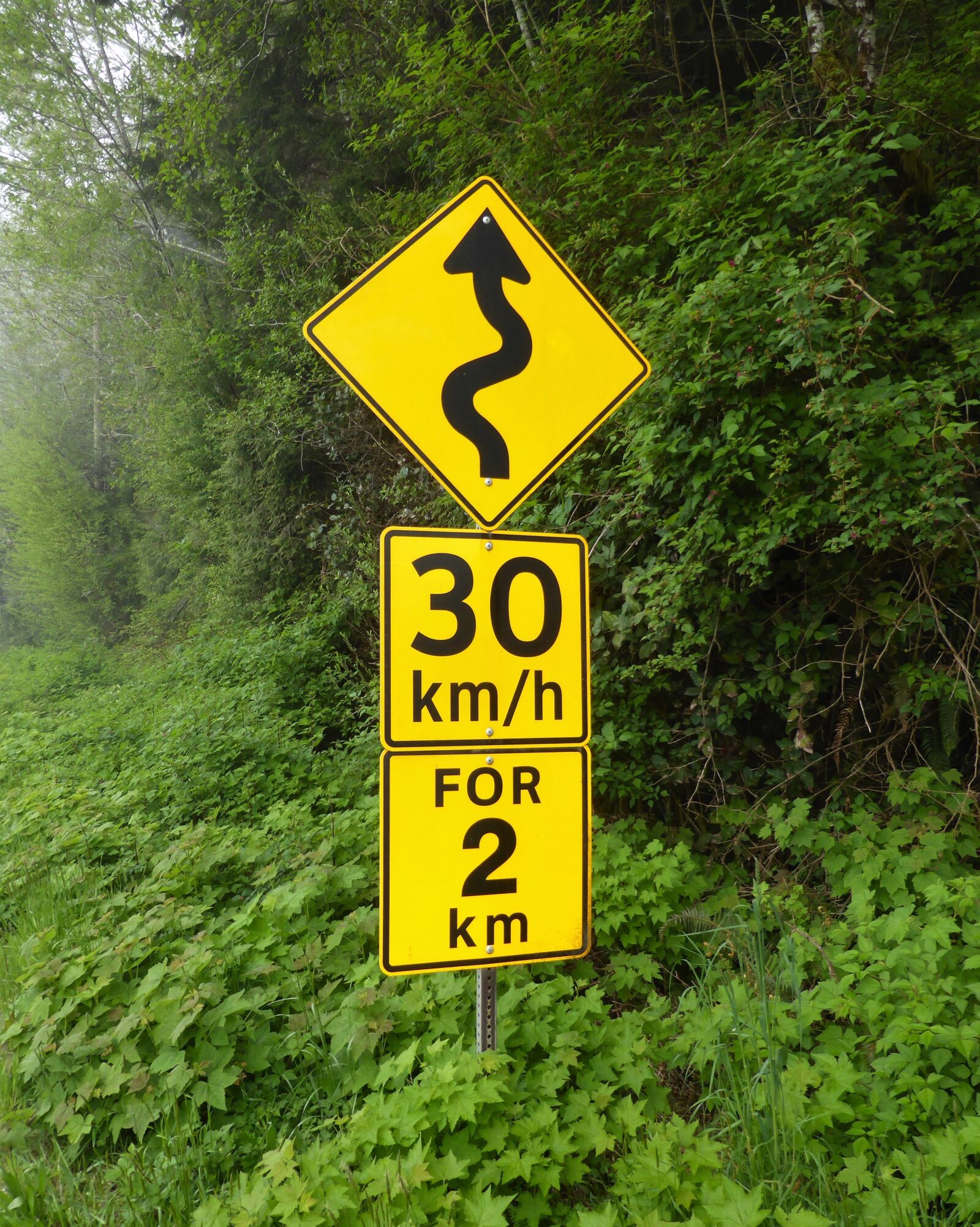 Panasonic Lumix DMC-ZS30 (Lumix DMC-TZ40) sample photo. Road sign, hairpin, danger photography