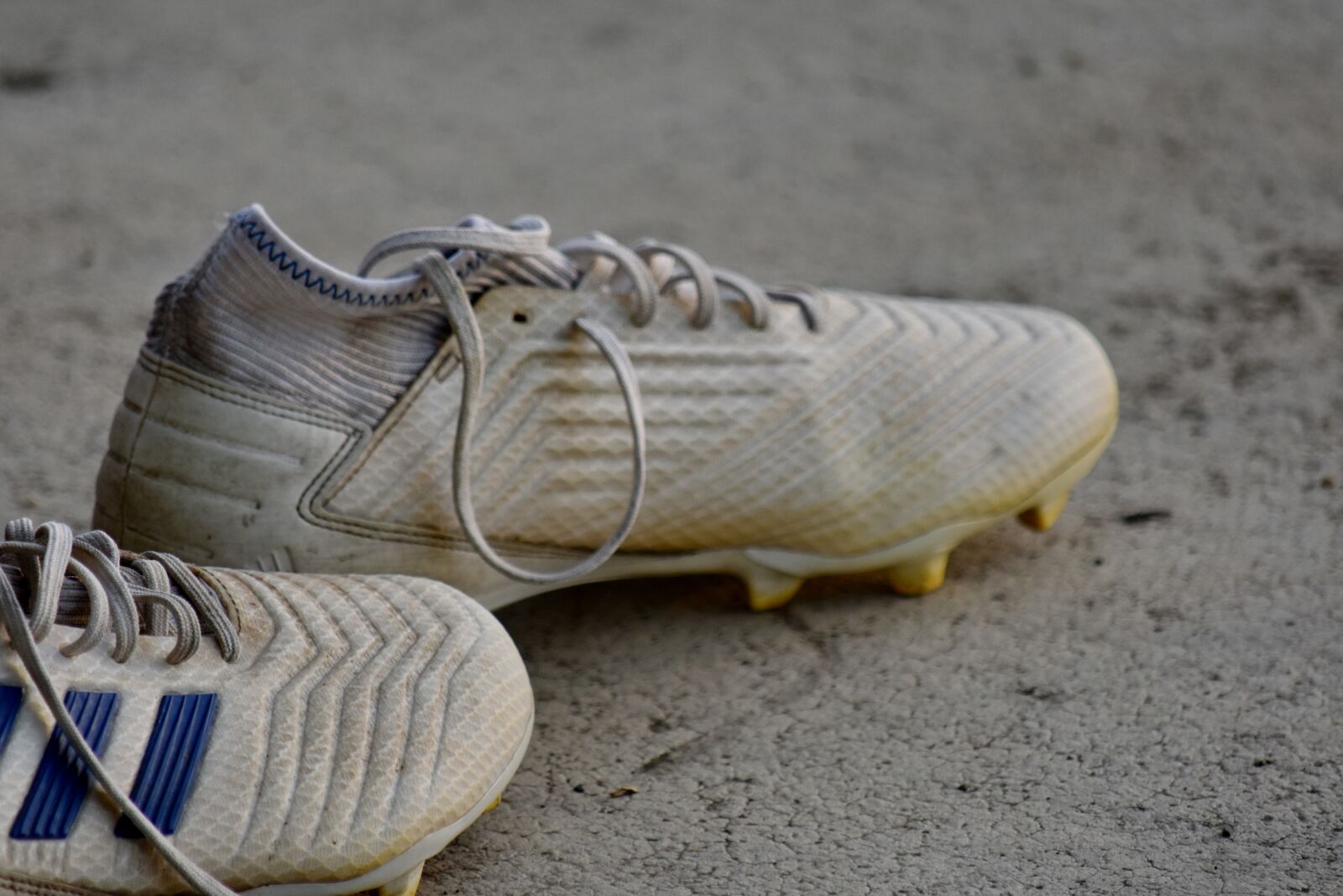 Nikon D5500 sample photo. Concrete, shoelace, sneakers, pair photography