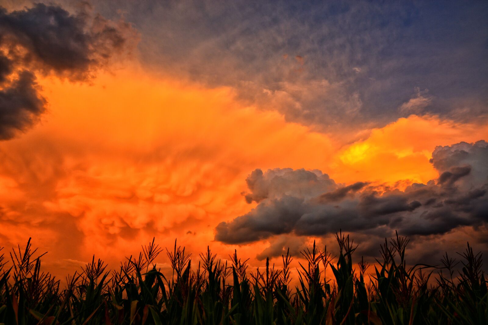 Nikon D5200 sample photo. Sunset, nature, sky photography