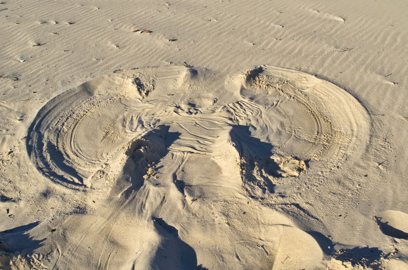 Nikon D3100 sample photo. Sand, sandy, beach photography