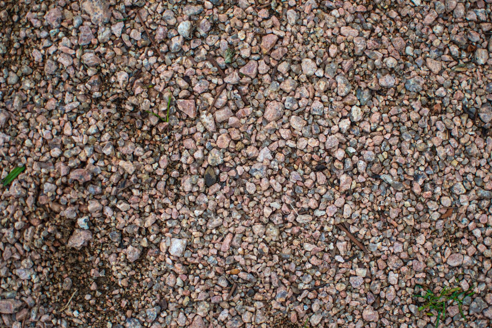 Nikon D750 sample photo. Gravel, brown, small stones photography