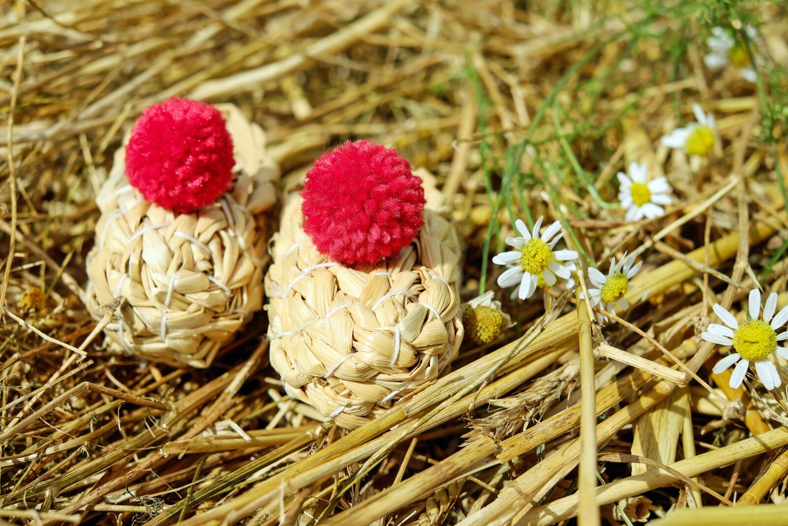 Fujifilm X-T10 + Fujifilm XF 35mm F1.4 R sample photo. Shoes, straw shoes, straw photography