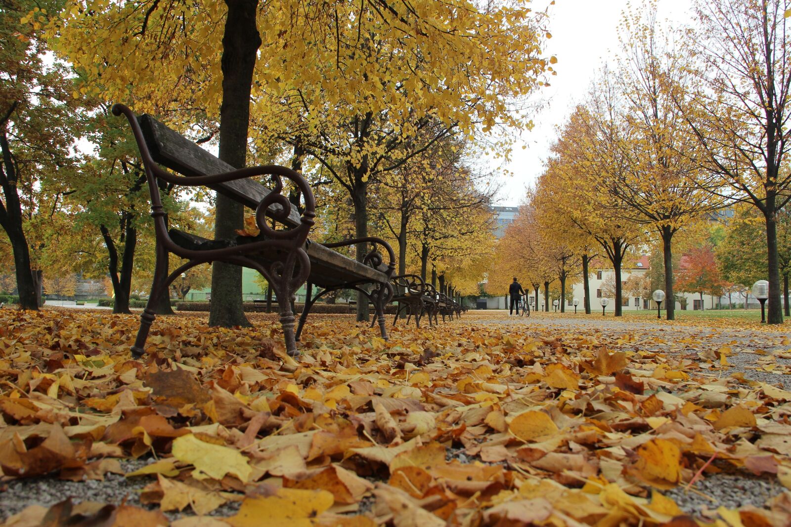 Canon EF-S 18-135mm F3.5-5.6 IS sample photo. Autumn, leaf, country photography