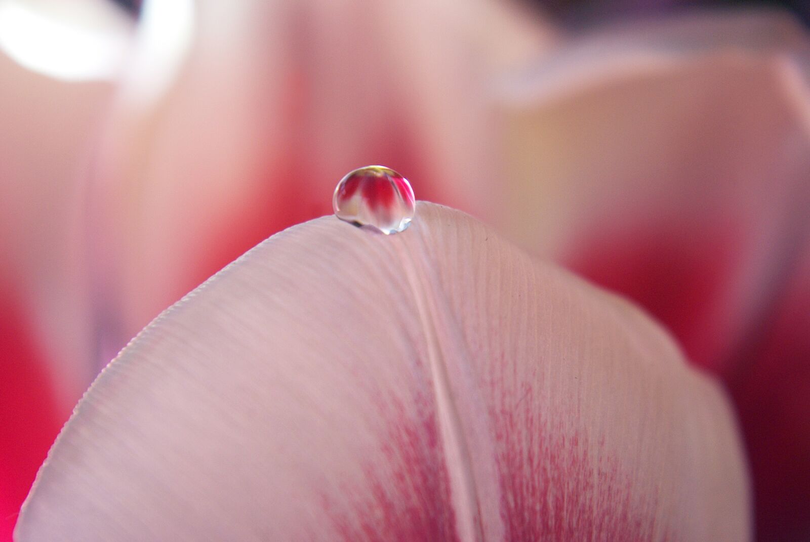 Pentax K-m (K2000) sample photo. Drop of water, water photography