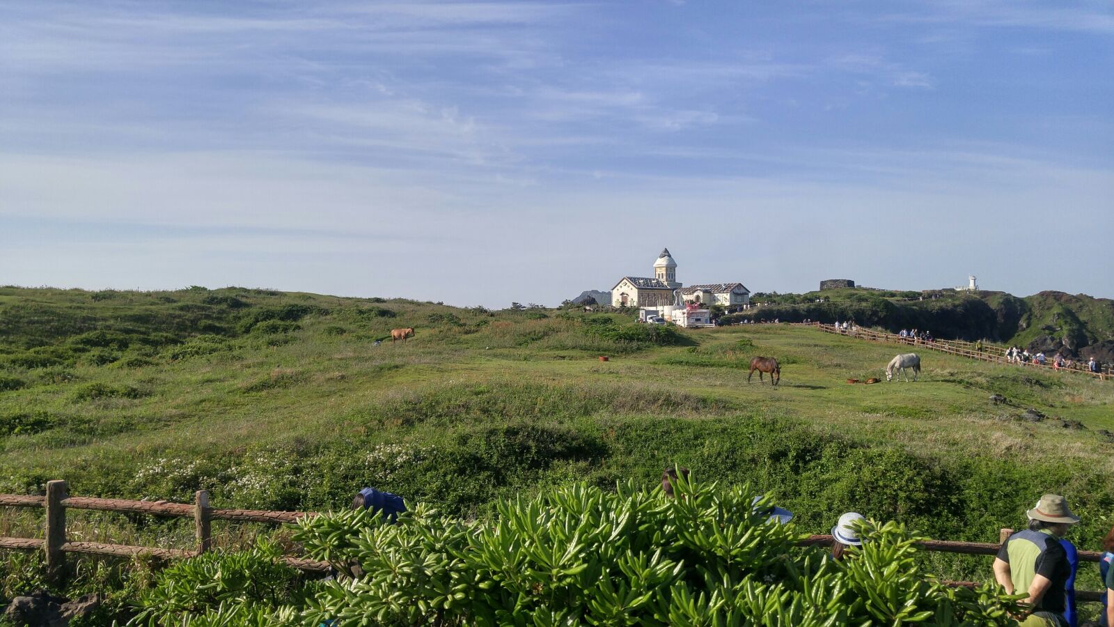 LG G4 sample photo. Cozy seopji, jeju island photography
