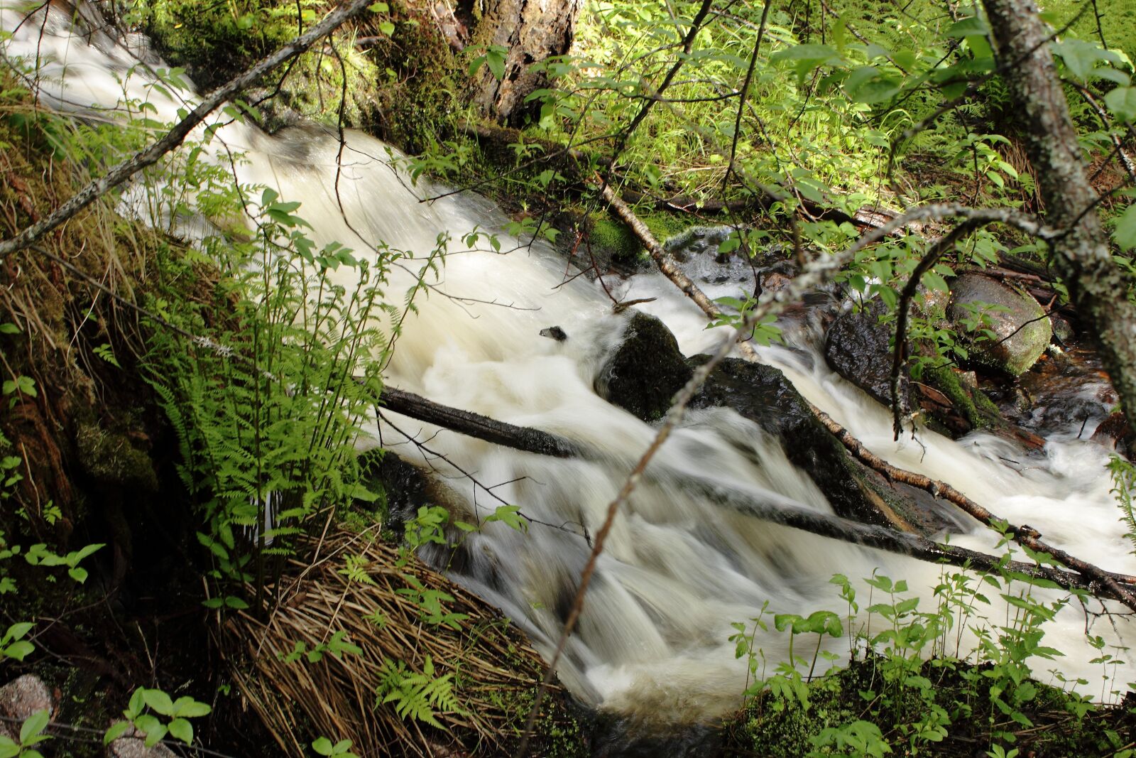 Canon EOS 500D (EOS Rebel T1i / EOS Kiss X3) sample photo. Nature, waterfall, water photography