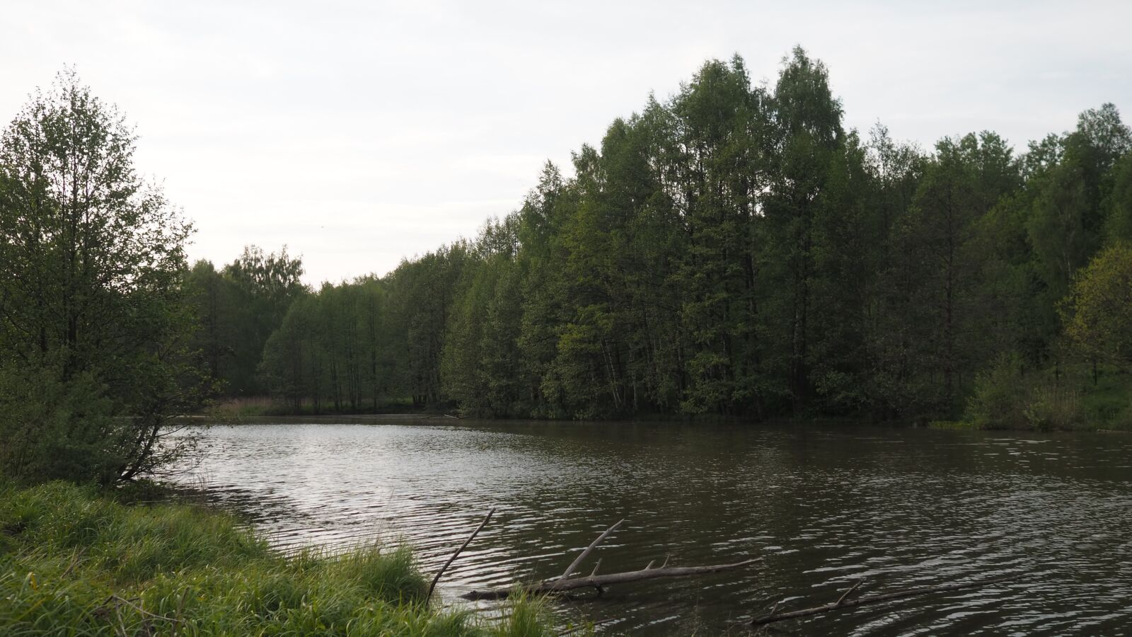 Olympus OM-D E-M10 III + Olympus M.Zuiko Digital 17mm F1.8 sample photo. Landscape, river, forest photography
