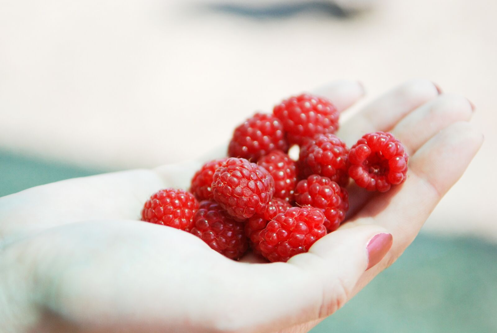 Nikon D80 sample photo. Raspberry, berry, hand photography