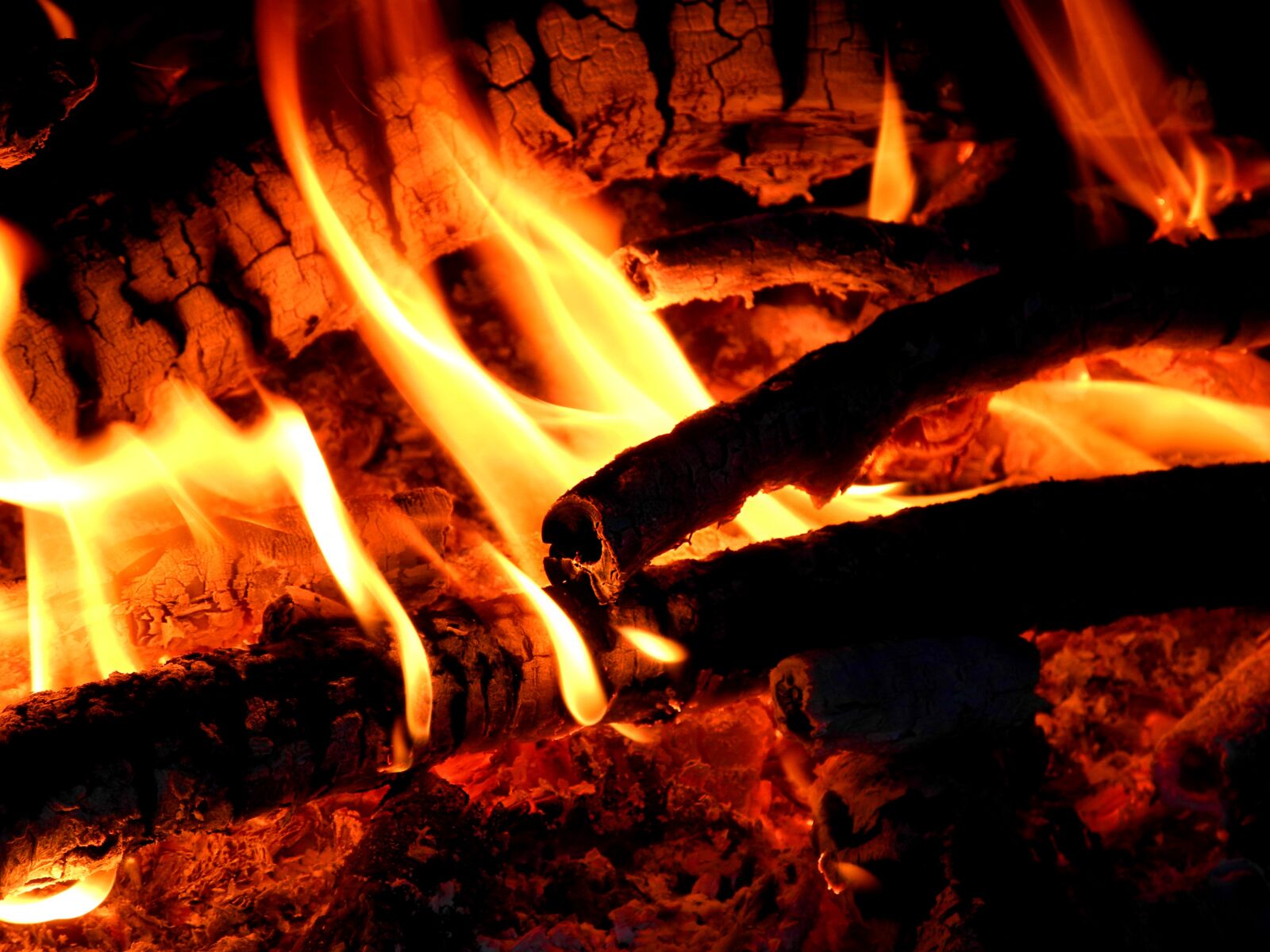 Nikon Coolpix P7000 sample photo. Fire, fireplace, flame photography