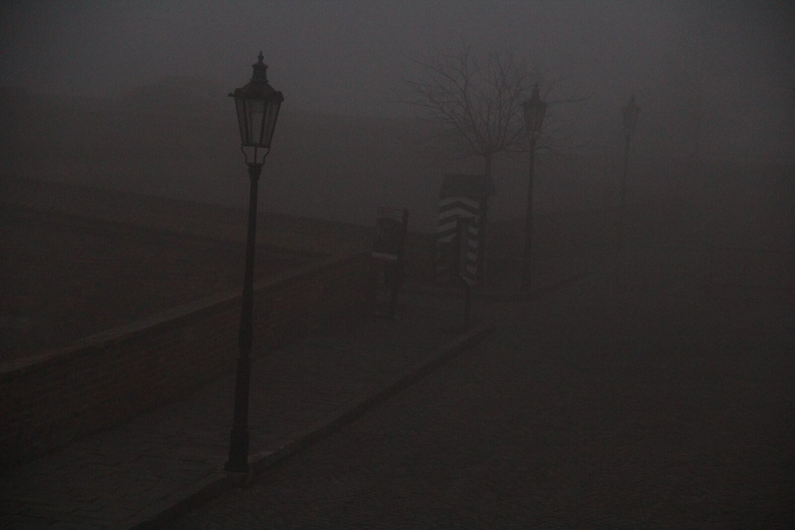 Canon EOS 600D (Rebel EOS T3i / EOS Kiss X5) sample photo. Fog, street lamps, dark photography
