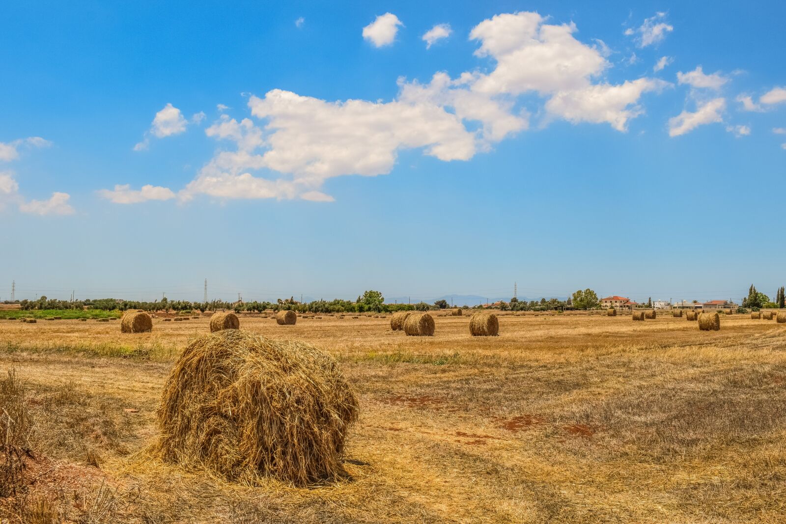 Nikon D3300 sample photo. Barley fields, hay bales photography