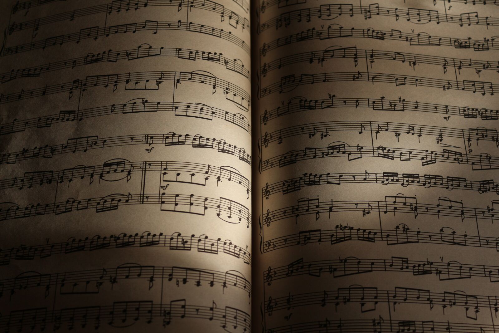 Canon EOS 650D (EOS Rebel T4i / EOS Kiss X6i) sample photo. Sheet music, book, game photography