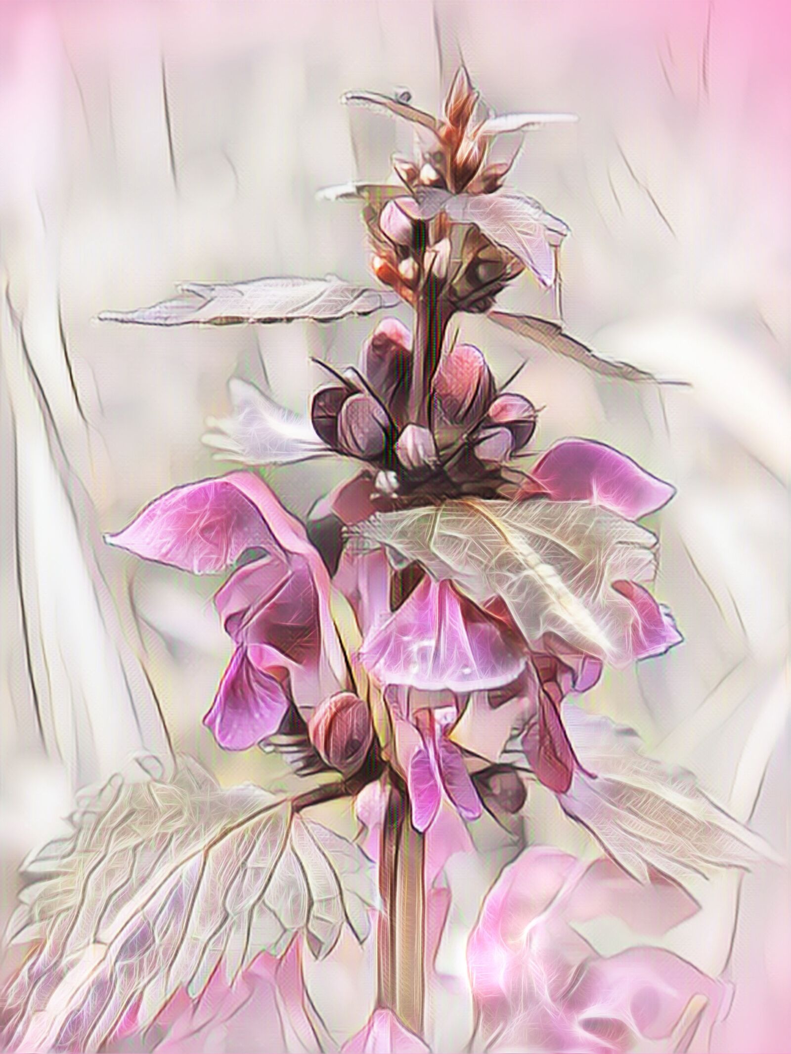 Canon PowerShot G15 sample photo. Dead nettle, digital painting photography