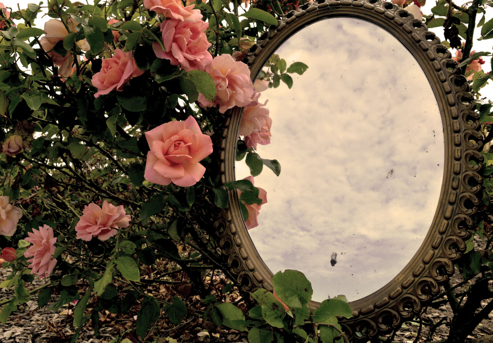 Nikon D3200 sample photo. Reflection photography