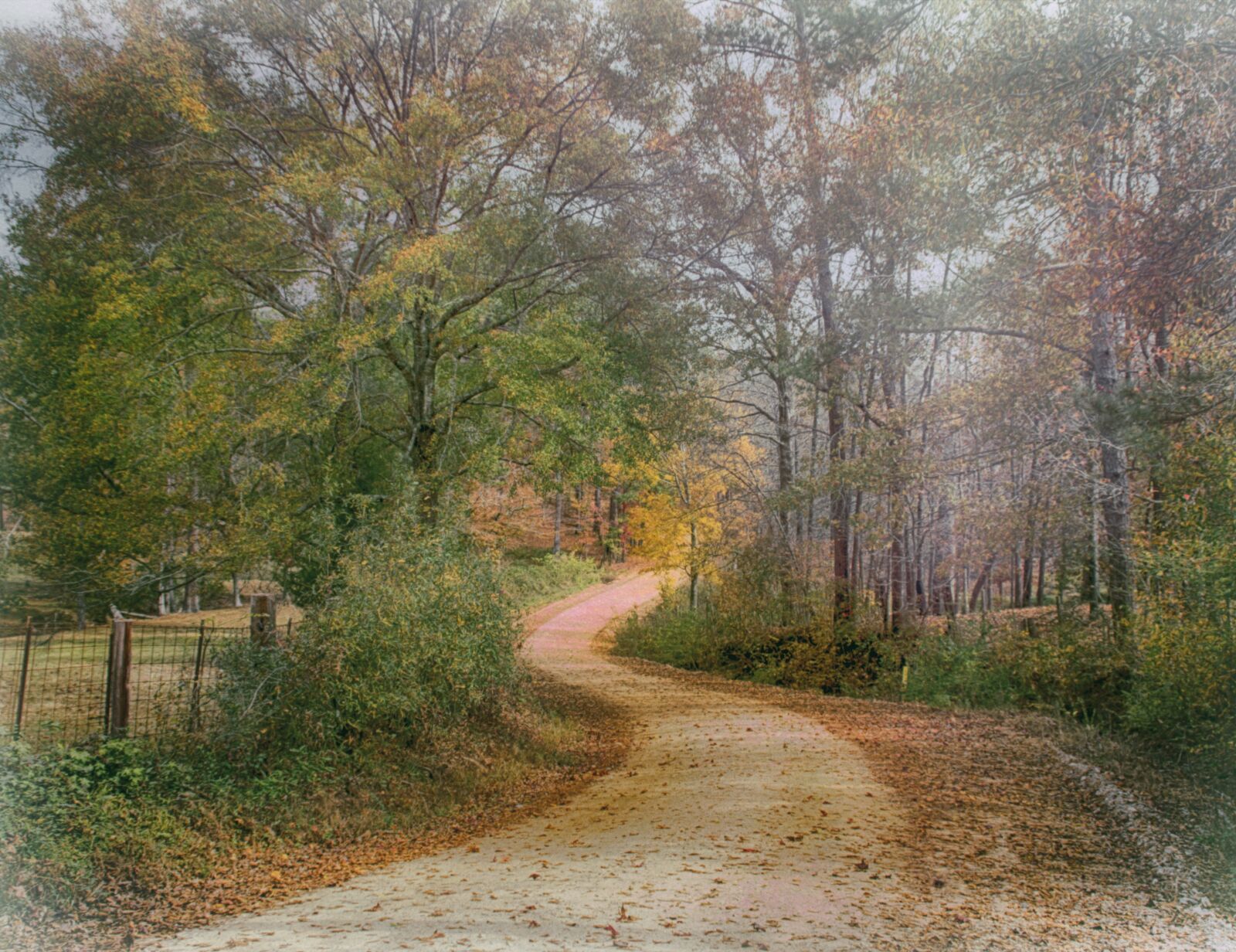 Canon EOS 600D (Rebel EOS T3i / EOS Kiss X5) sample photo. Road, country, landscape photography