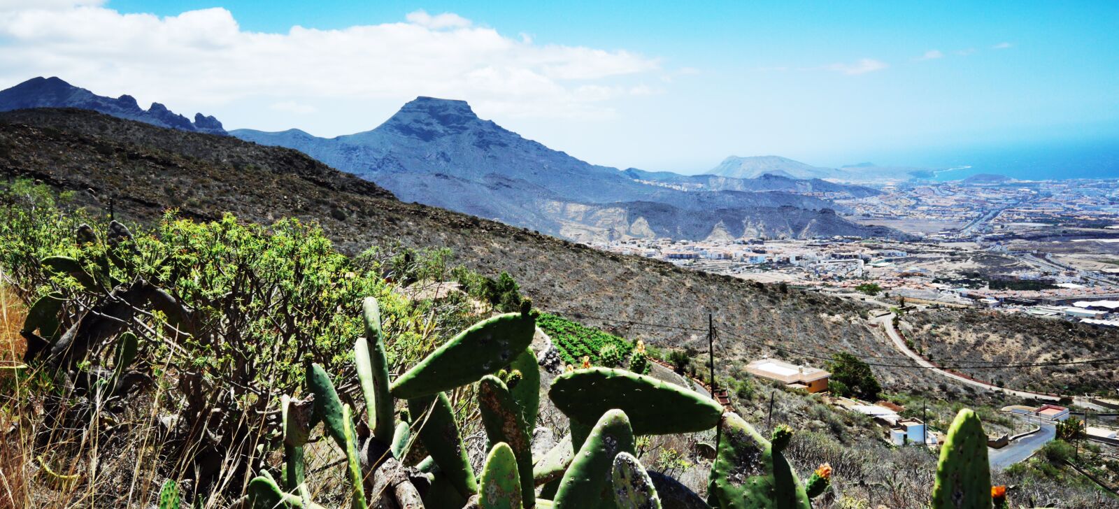 HUAWEI ELS-NX9 sample photo. Tenerife south, mountain, cactus photography
