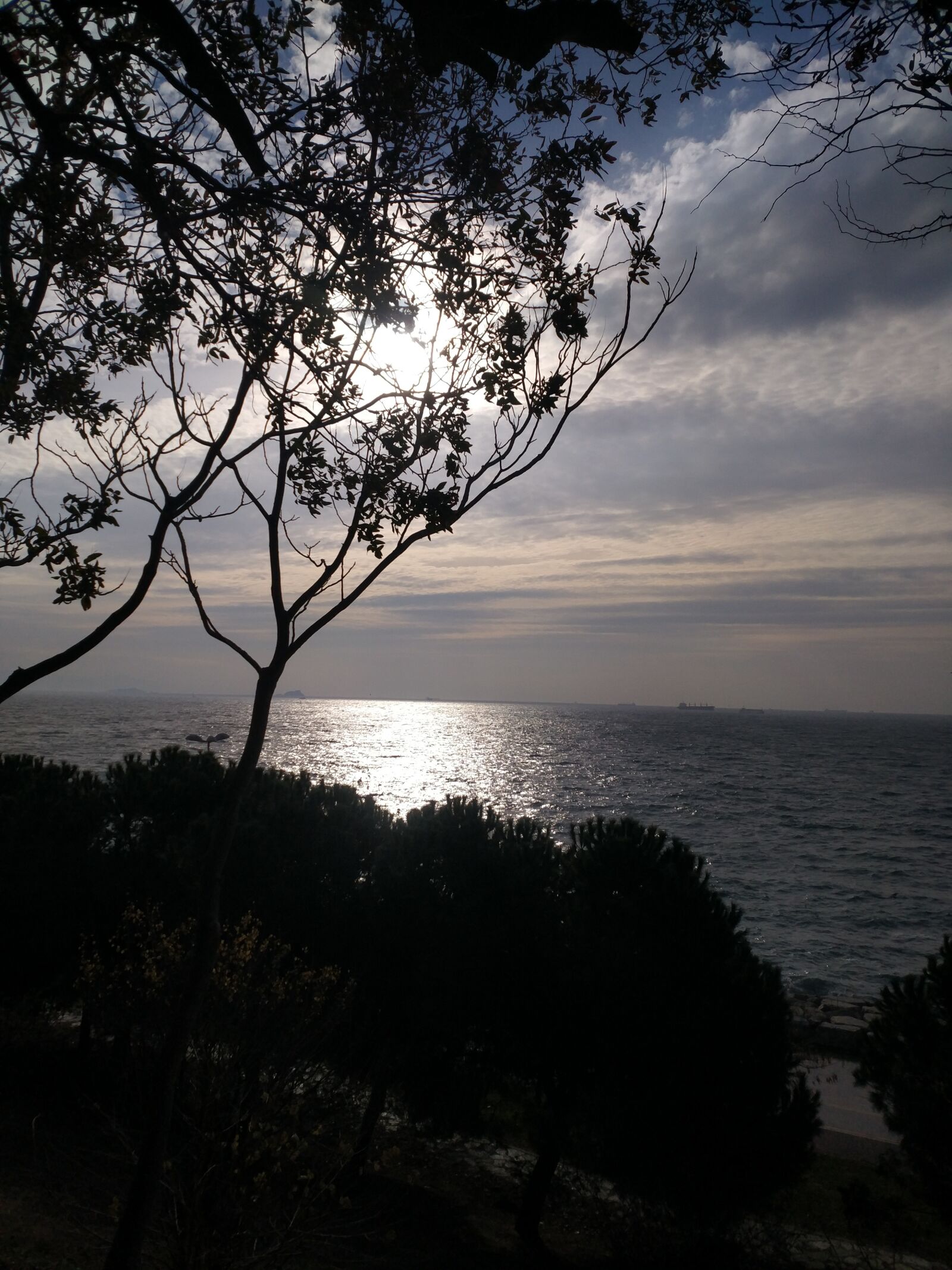 Xiaomi MI 5s Plus sample photo. Marine, landscape, tree photography