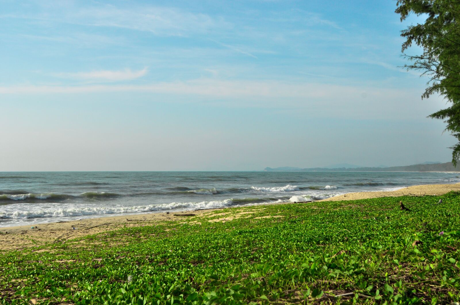Nikon D5000 sample photo. Beach, ocean, green photography